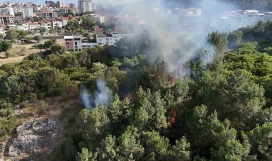 Pendik'te Aydos Ormanı'nda saat 17.45 sularında bilinmeyen bir nedenle çıkan