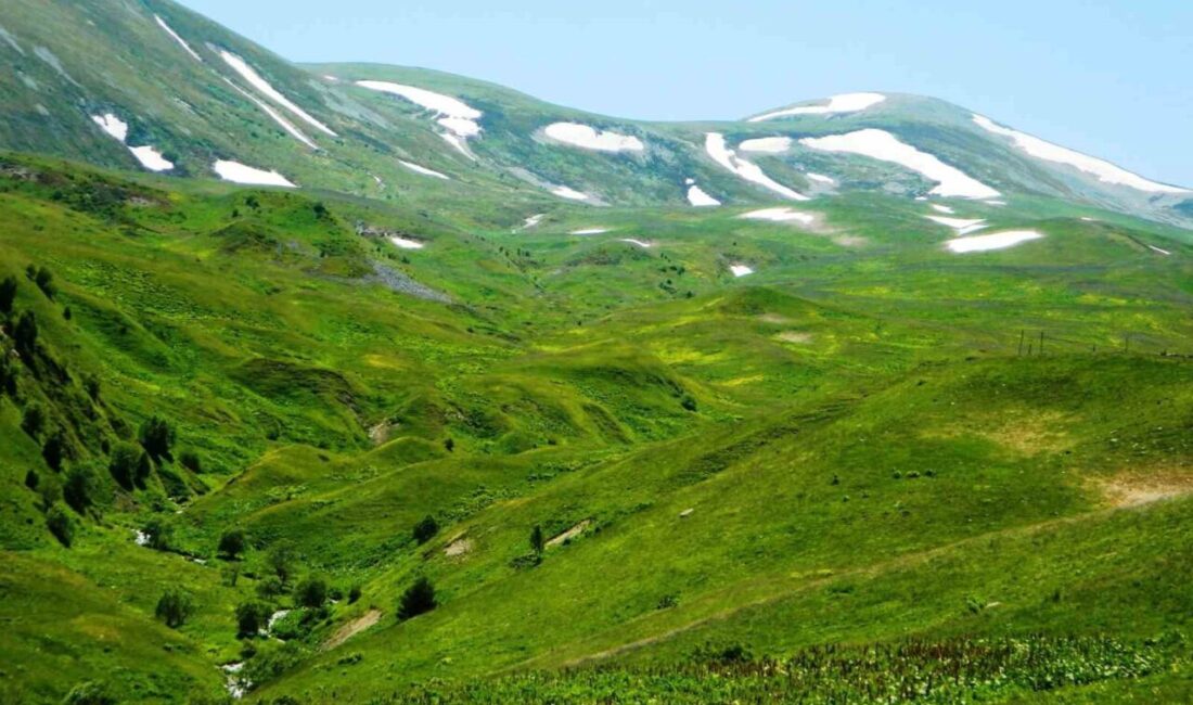 Posof'ta vatandaşlar haziran ayıyla birlikte yaylara çıkmaya başladı, ancak Urema