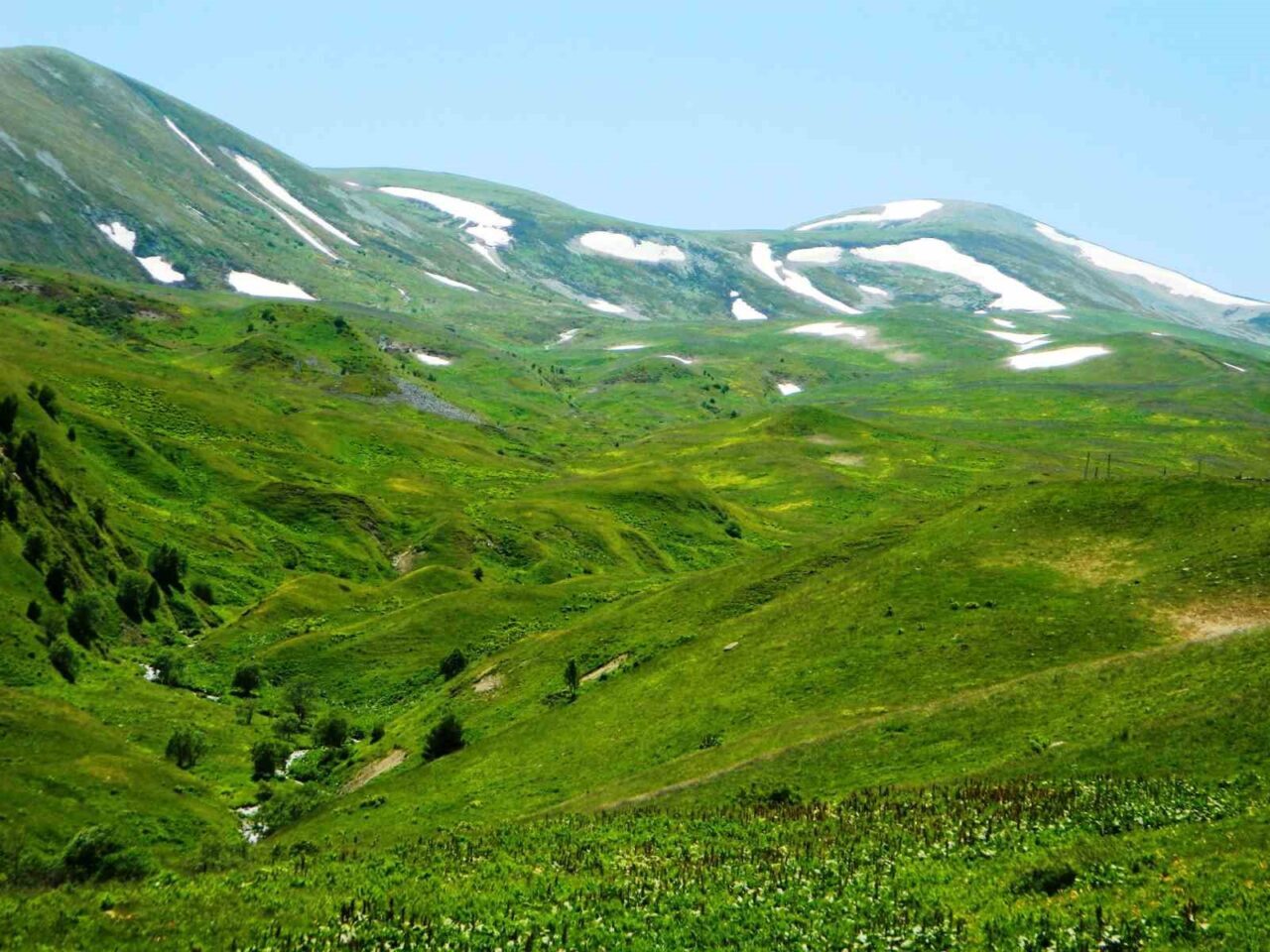 Posof'ta vatandaşlar haziran ayıyla birlikte yaylara çıkmaya başladı, ancak Urema