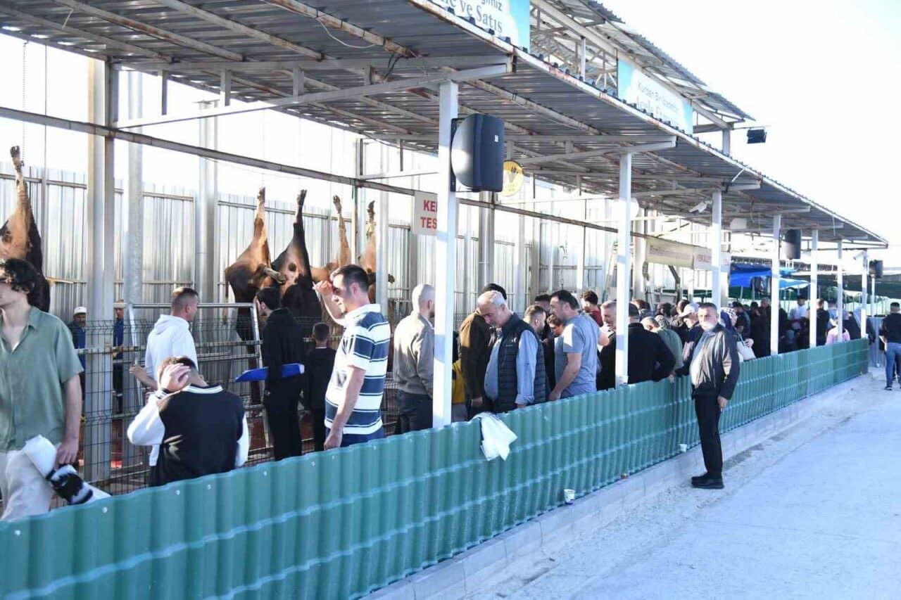 Pursaklar Belediyesi, Kurban Bayramı'nda Gümüşoluk Kurban Pazarı'nda etkili bir kesim