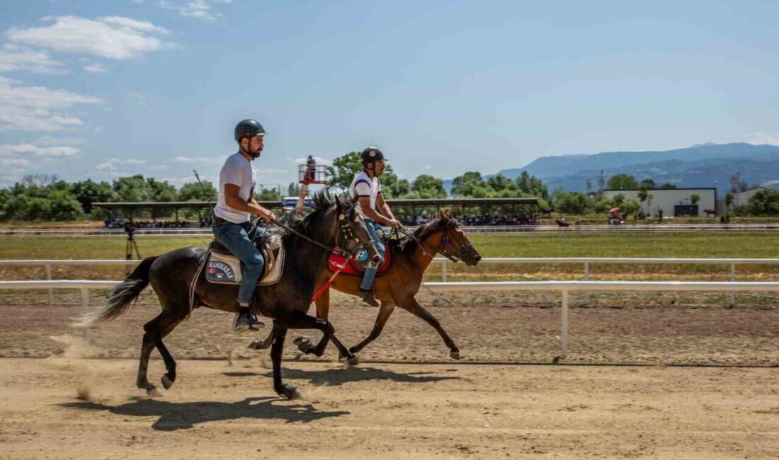 Bursa'da düzenlenen 'Geleneksel Rahvan At Yarışları', 125 at ve sporcunun
