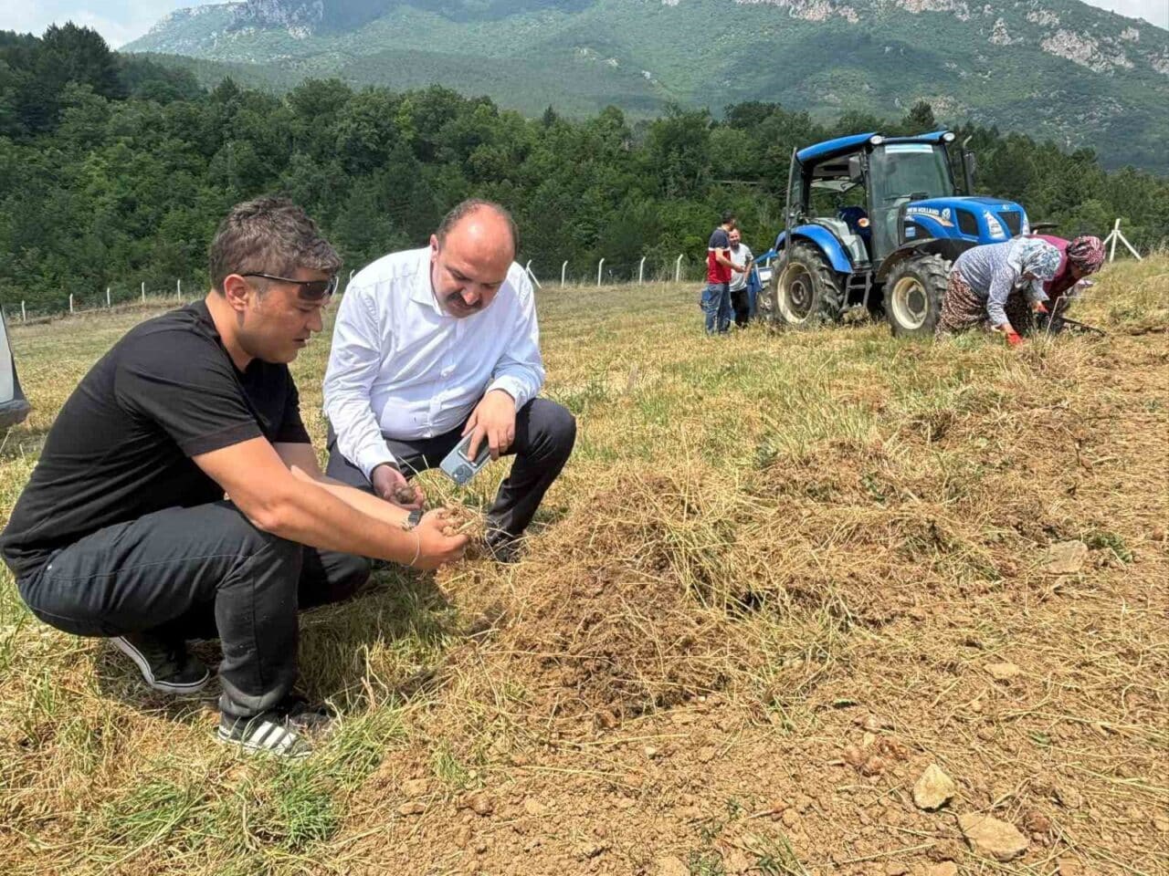 Karabük’ün Safranbolu ilçesinde, safran soğanı hasadı başladı. Erol Altuntepe ve