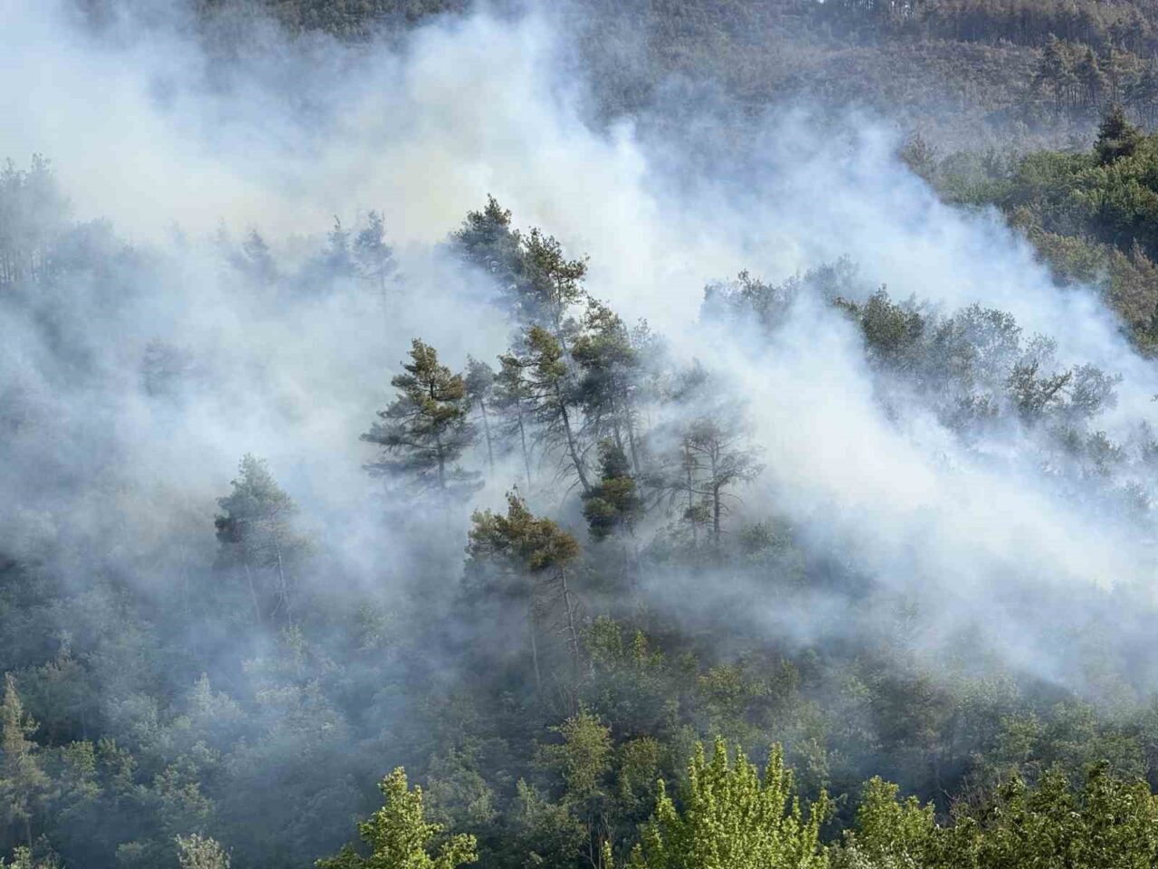 Sakarya'nın Taraklı ilçesinde ormanlık alanda kontrol altına alınan yangın, rüzgar