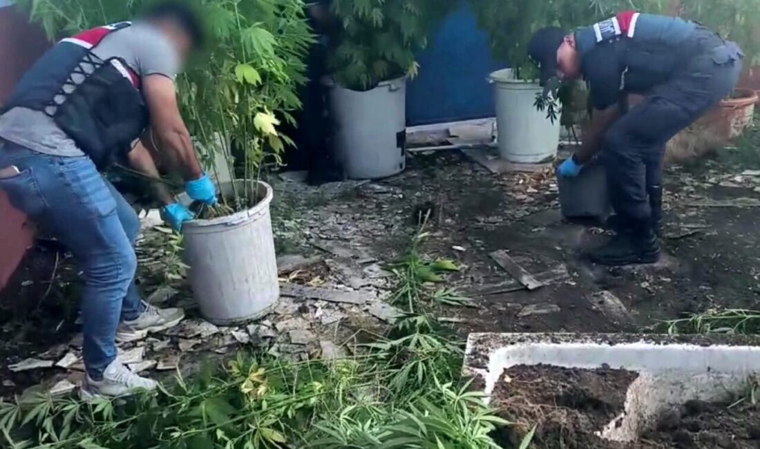 Sakarya'nın Geyve ilçesinde jandarma, E.B. (26) isimli şahsın evinde yaptığı