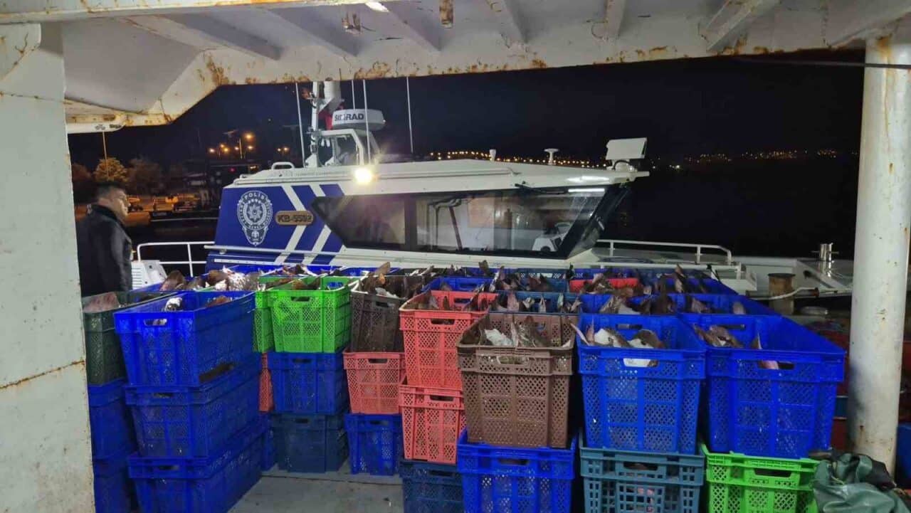 Samsun açıklarında gerçekleştirilen denetimde, 6 ton kaçak kalkan balığına ve