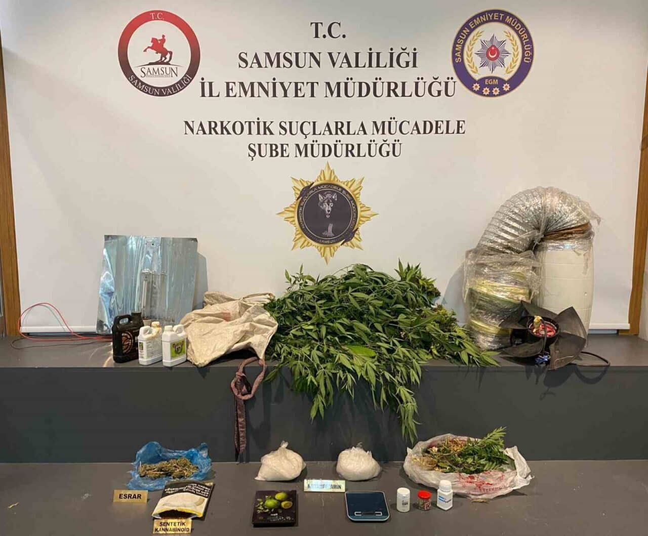 Samsun'da Kurban Bayramı'nda uyuşturucu kaçakçılığına karşı yürütülen operasyonlarda 1.5 kg