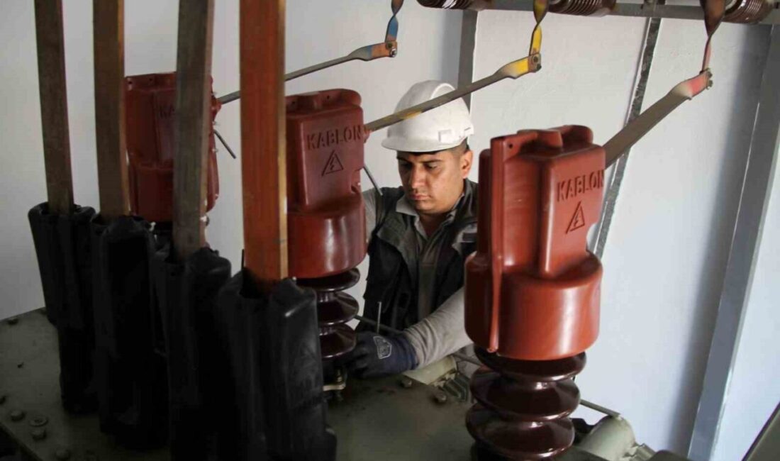 Dicle Elektrik, Şanlıurfa'da 2025'in ilk beş ayında 3 bin kilometrelik