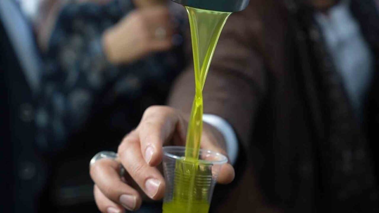 Edremit Meslek Yüksekokulu Öğretim Üyesi Dr. Mücahit Kıvrak, yaz aylarında