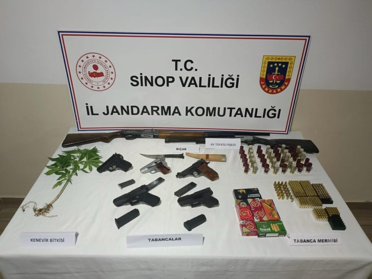 Sinop'un Erfelek ilçesinde jandarma, iki adrese ve bir araca düzenlediği