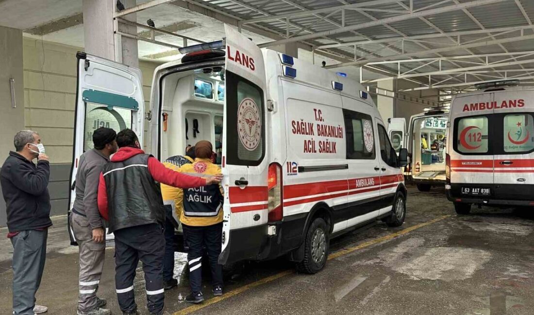 Şanlıurfa'nın Siverek ilçesinde 73 yaşındaki Melek Yağmuresen, yolun karşısına geçerken