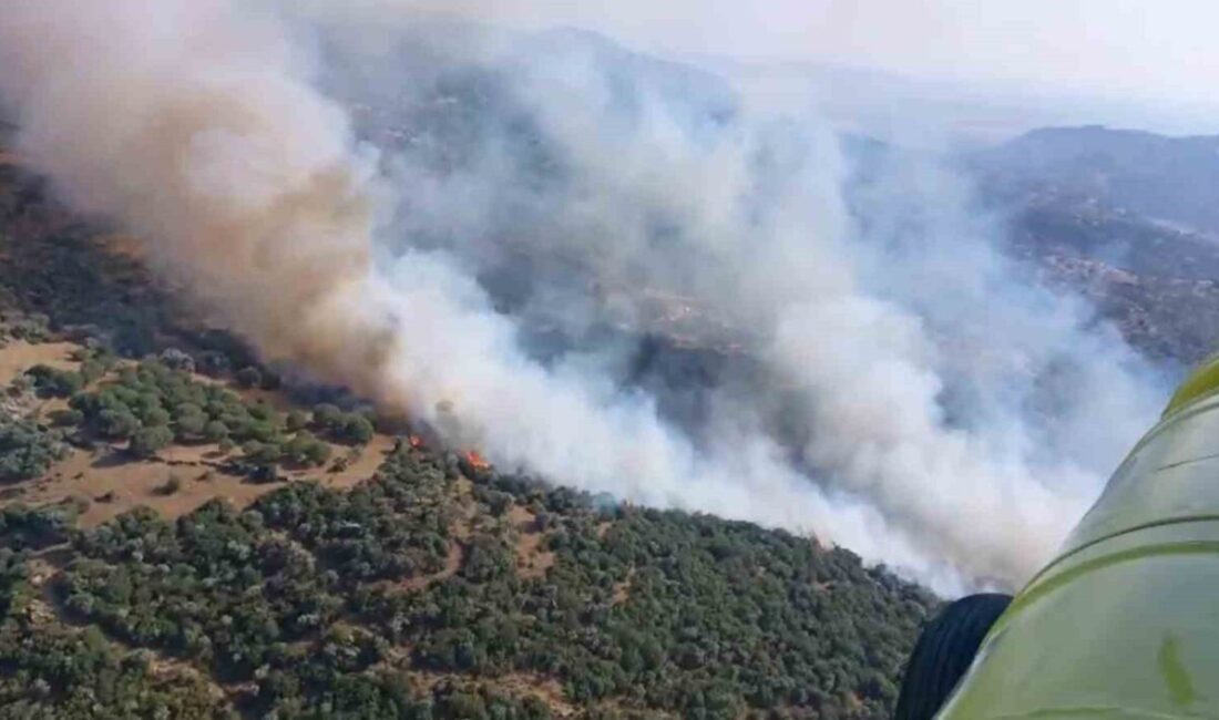 Aydın'ın Söke ilçesinde 22 Haziran'da başlayan zirai yangın, vatandaşların ihbarı