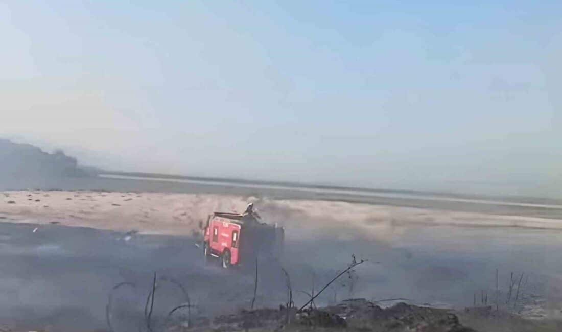 Söke ilçesinde buğday hasadı yapılan bir tarlada çıkan yangın, saman