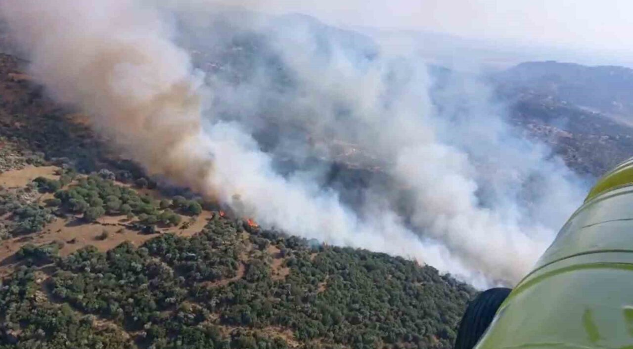 Aydın’ın Söke ilçesindeki zeytinlik alanda saat 17.00'de başlayan yangına karadan