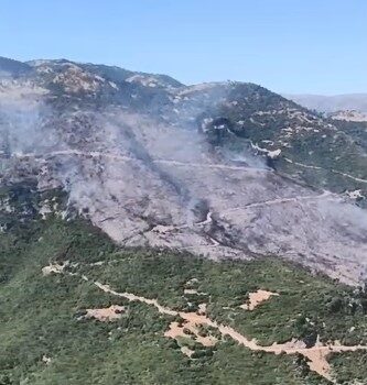 Aydın'ın Sultanhisar ilçesinde, bilinmeyen bir nedenle zirai alanda başlayan yangın,