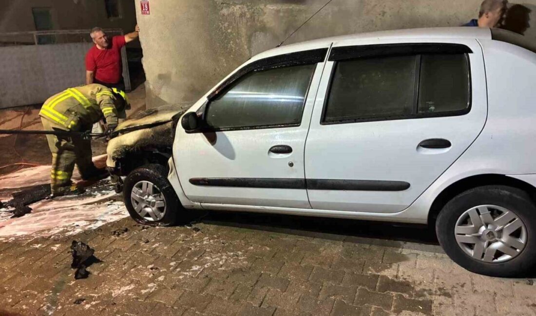 Balıkesir'in Susurluk ilçesine bağlı Kayıkçı Mahallesi'nde 10 SK 469 plakalı