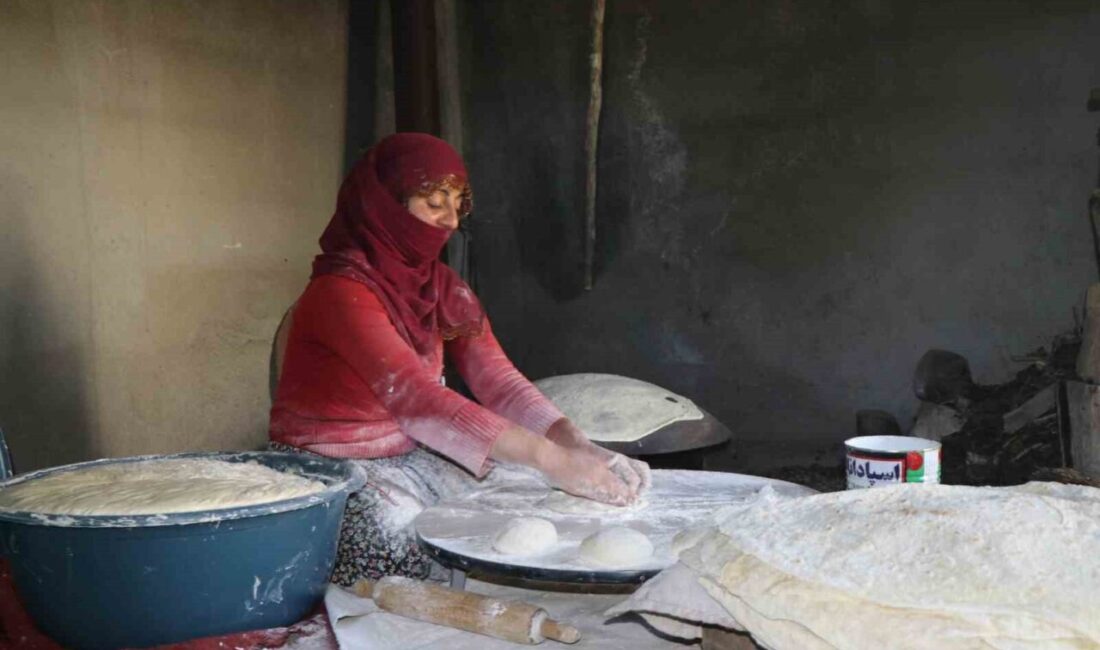 Ağrı'nın Diyadin ilçesindeki Boyalan köyü, yazın yaylaya göç hazırlıkları yapıyor.