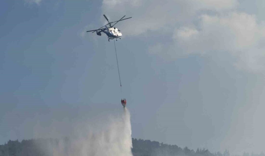 Sakarya'nın Taraklı ilçesinde çıkan orman yangını sonrası R.E. (79), Y.E.