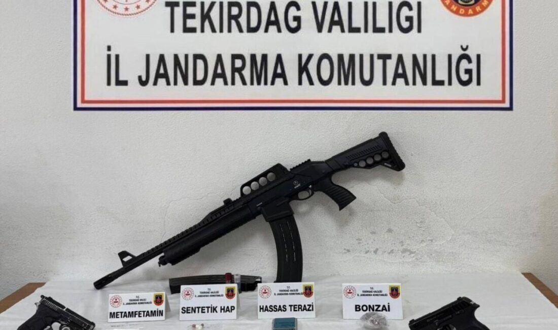 Tekirdağ İl Jandarma Komutanlığı, 13-19 Haziran tarihleri arasında ruhsatsız silahlar,