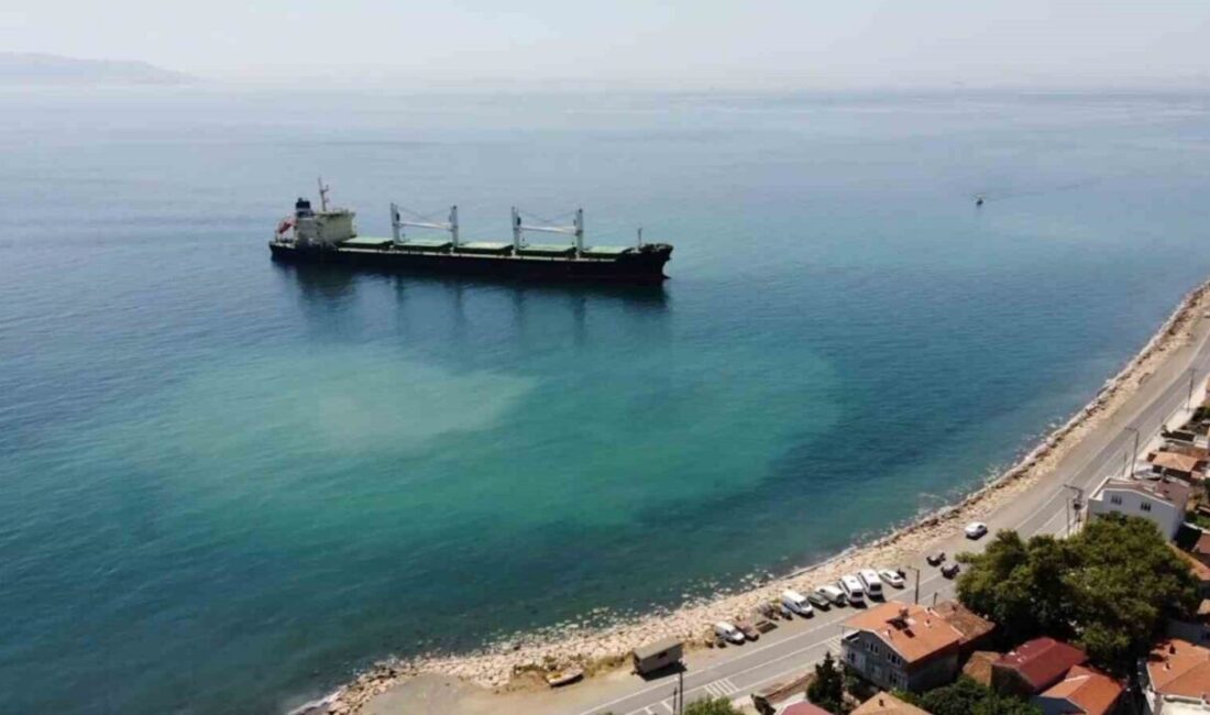 Tekirdağ'ın Şarköy ilçesinde 25 Haziran'da karaya oturan Bahama bandıralı "Angy