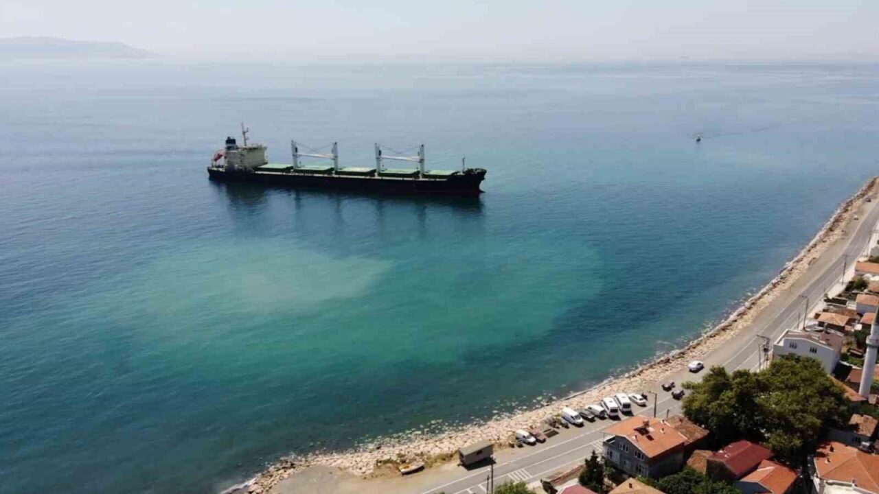 Tekirdağ'ın Şarköy ilçesinde 25 Haziran'da karaya oturan Bahama bandıralı "Angy