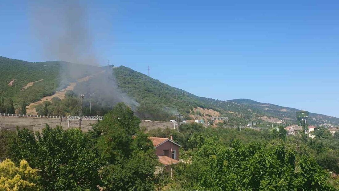 Kocaeli'nin Körfez ilçesindeki Şirinyalı Mahallesi'nde TEM Otoyolu kenarında çıkan yangın,