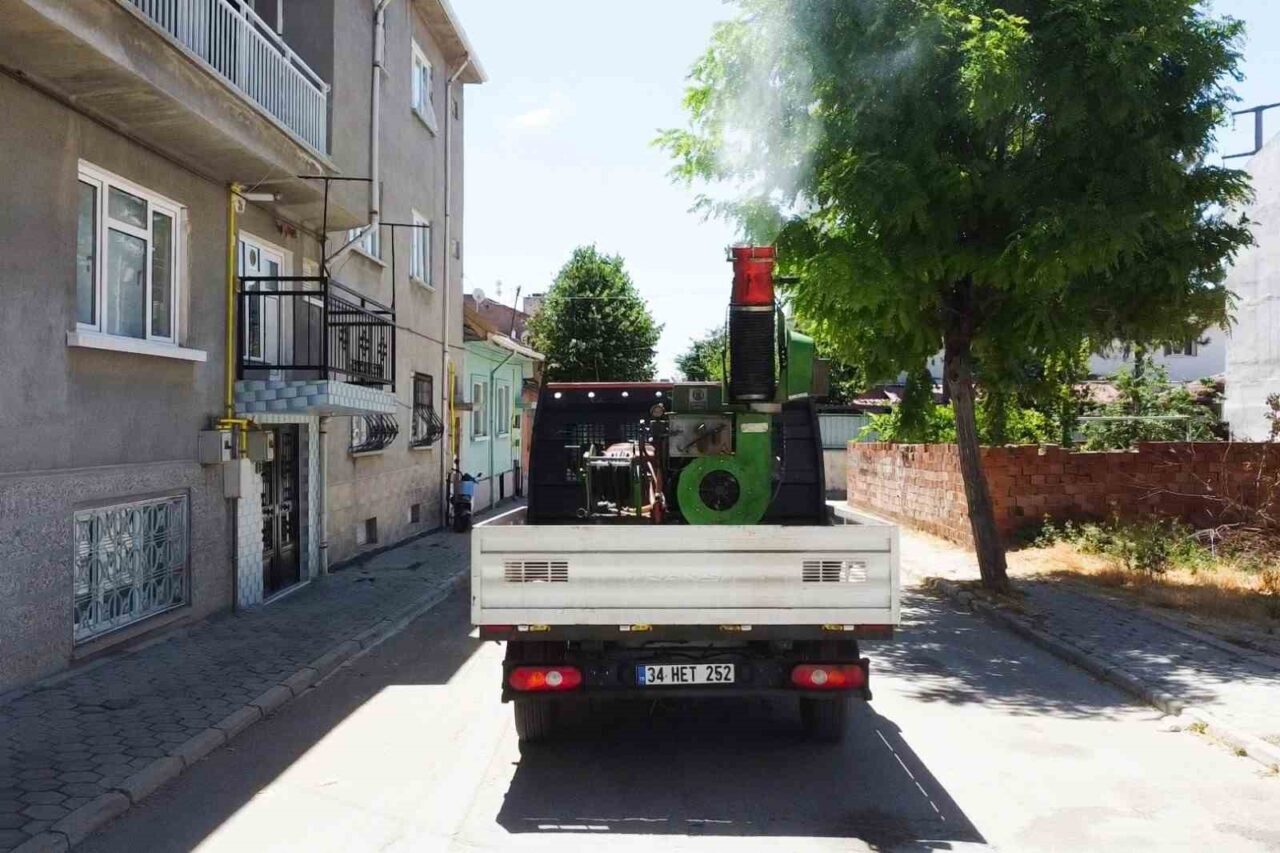 Tepebaşı Belediyesi, toplum sağlığını korumak amacıyla ilaçlama çalışmalarını sürdürüyor. Veteriner