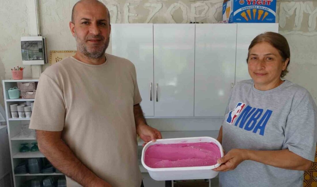 Malatya'nın Arapgir ilçesinde coğrafi işaretli mor reyhan, Hakan ve Meral