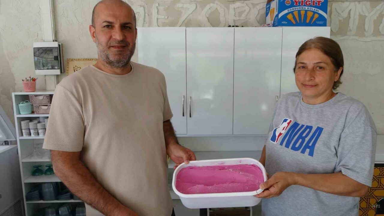 Malatya'nın Arapgir ilçesinde mor reyhan dondurması, Hakan ve Meral Poyraz