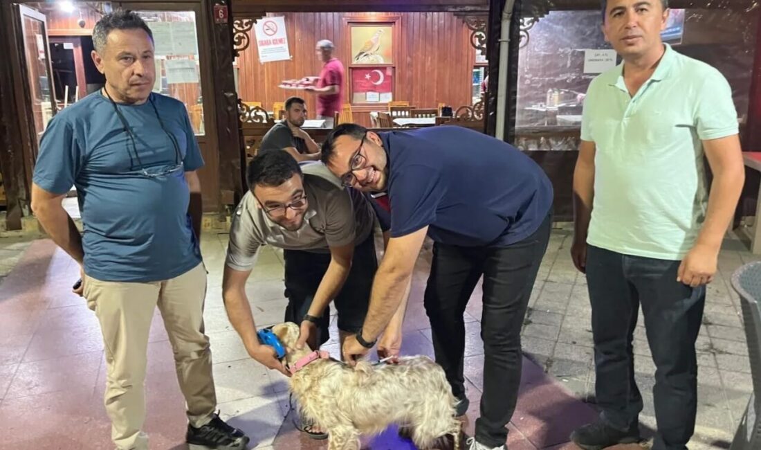Havran İlçe Tarım ve Orman Müdürlüğü, Havran Avcılar Kulübü'nde kuduz