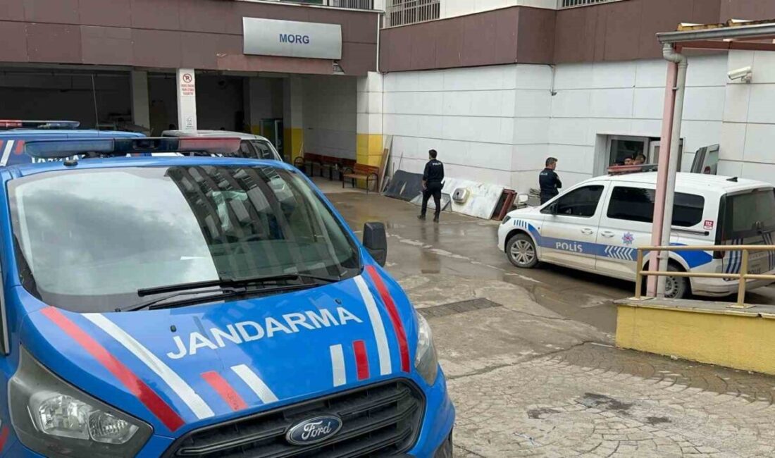 Adıyaman'ın Akpınar Köyü'nde Bahattin Şahin (65), torununu kurtarmak için girdiği