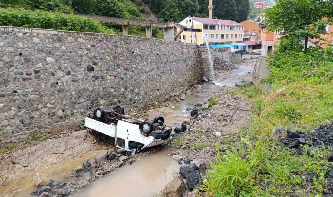 Trabzon’un Şalpazarı ilçesinde M.K.'nın kullandığı kamyonet, kaygan yolda direksiyon hakimiyetinin