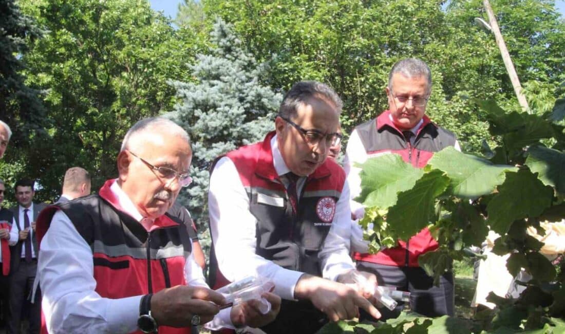 Tarım ve Orman Bakan Yardımcısı Ahmet Gümen, Türkiye genelinde 1