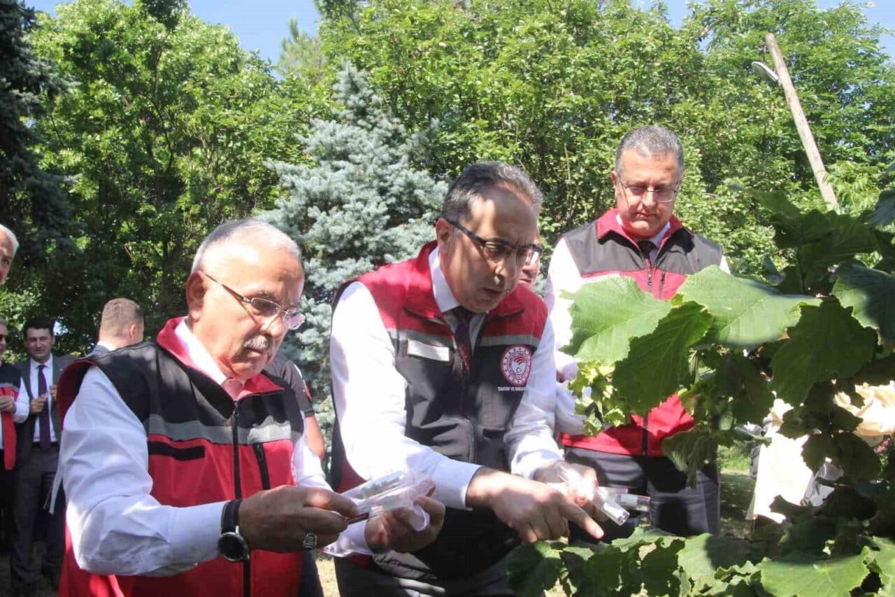 Tarım ve Orman Bakan Yardımcısı Ahmet Gümen, Türkiye genelinde 1