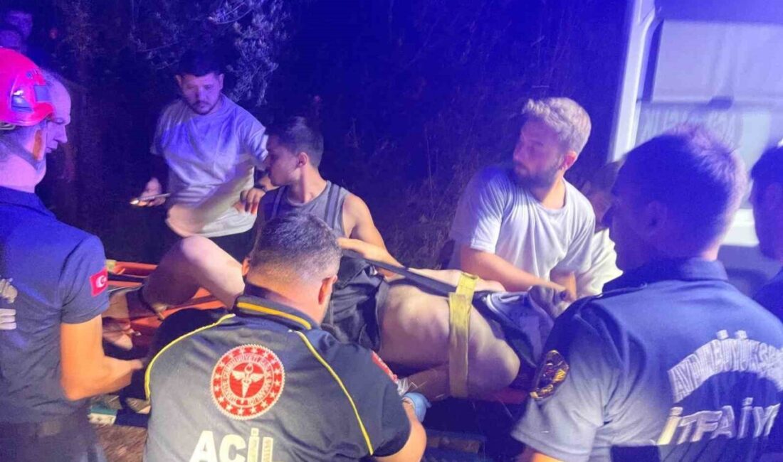 Aydın'ın Efeler ilçesinde E.T. isimli motosiklet sürücüsü, bir ticari araçla