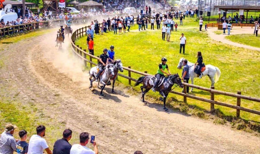 Ünye ilçesinde yapılan rahvan at yarışları, Türkiye Geleneksel Atlı Spor
