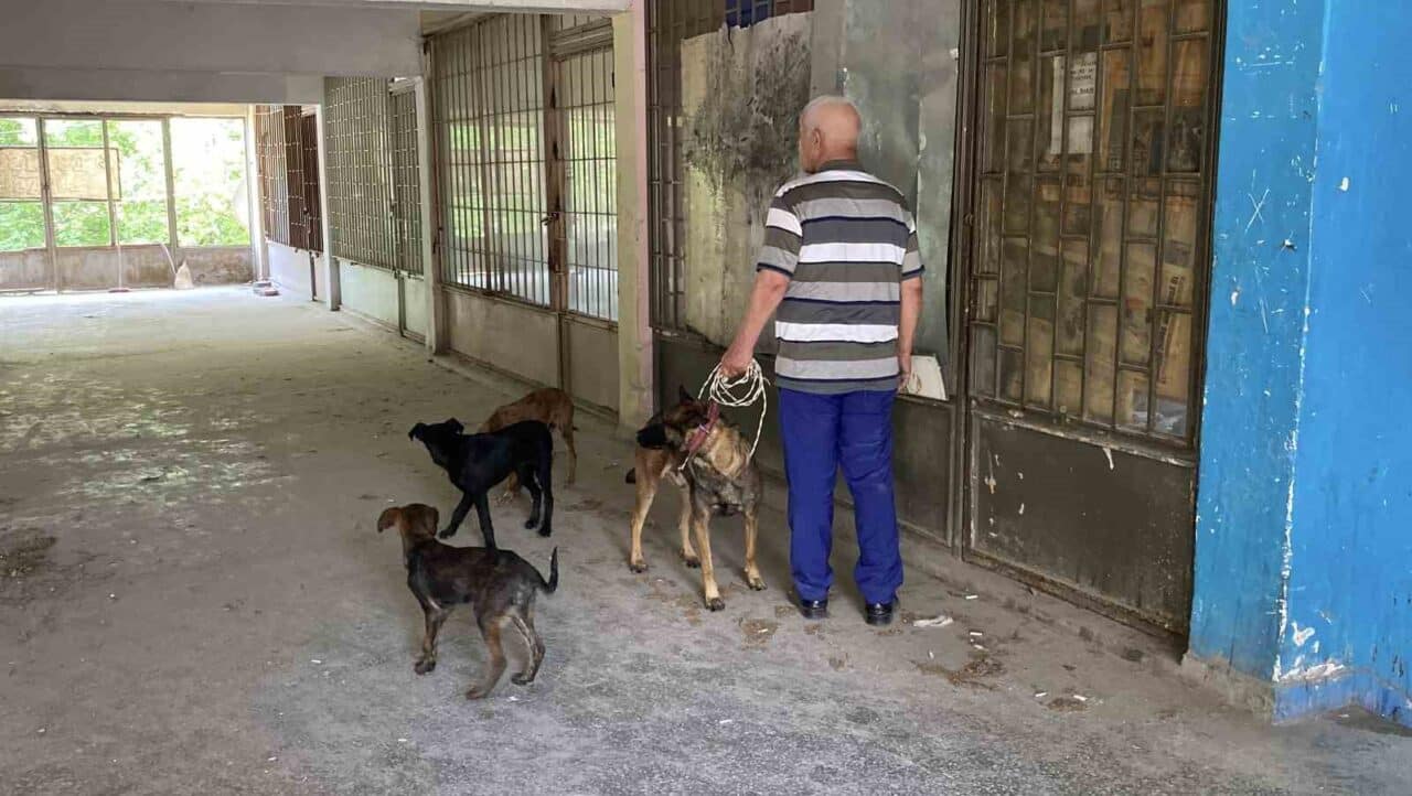 Eskişehir'de, sahiplerinin cezaevine girmesi nedeniyle 15 gündür aç kalan 6