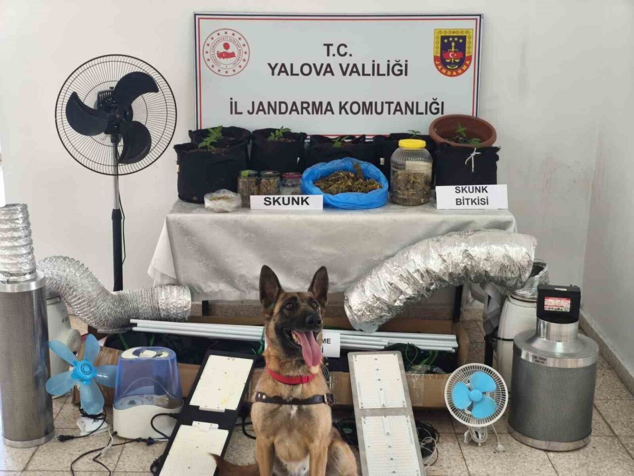 Yalova'nın Çınarcık ilçesinde O.D., evinde kurduğu iklimlendirme sistemiyle uyuşturucu bitkisi