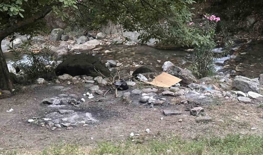 Aydın'ın Efeler ilçesinde ormanlık alana girerek mangal yakan üç kişi,