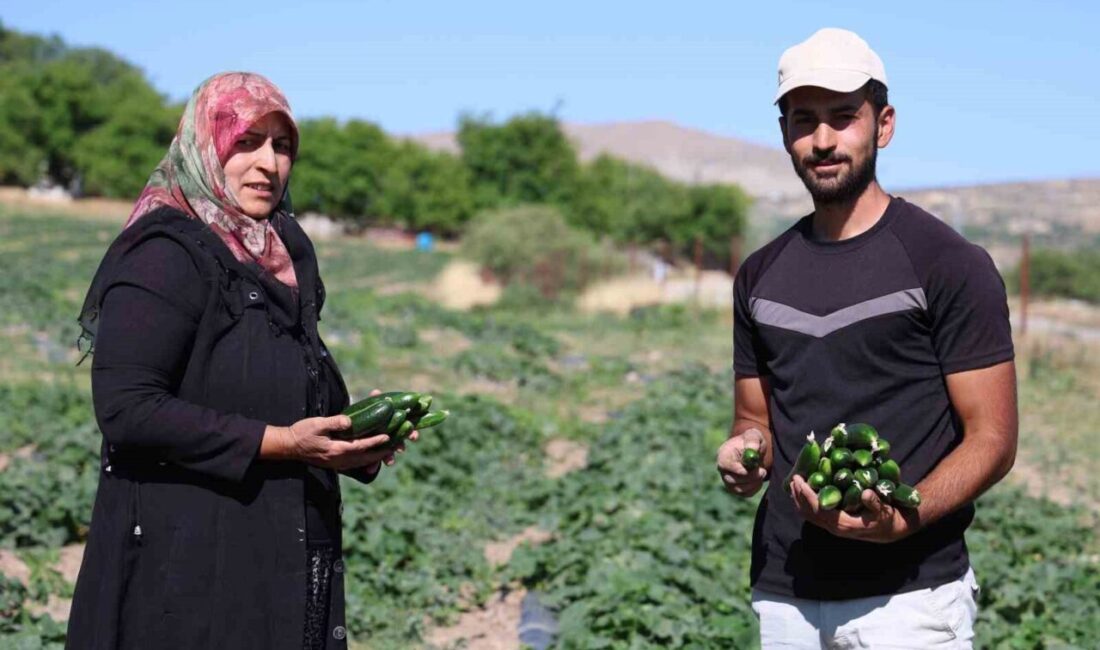 Elazığ'da, Saadet ve Resul Cankara çifti, 14 yıldır kimyasal kullanmadan