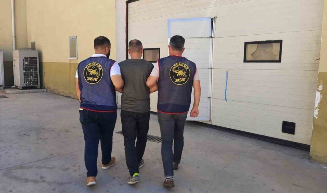Gaziantep'te 19 suç kaydı olan M.K. isimli şahıs, jandarma ekipleri