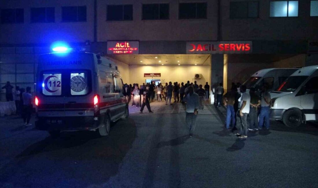 Malatya'nın Yeşilyurt ilçesinde, Ö.Y. isimli erkek eşi Eylem Yeşilkaya'yı bıçaklayarak