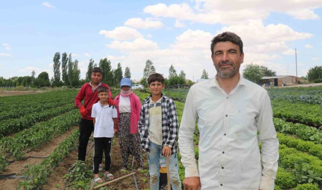 Eskişehir'deki mevsimlik tarım işçileri, 40 derecelik sıcaklarda zorlu şartlarda çalışmaya