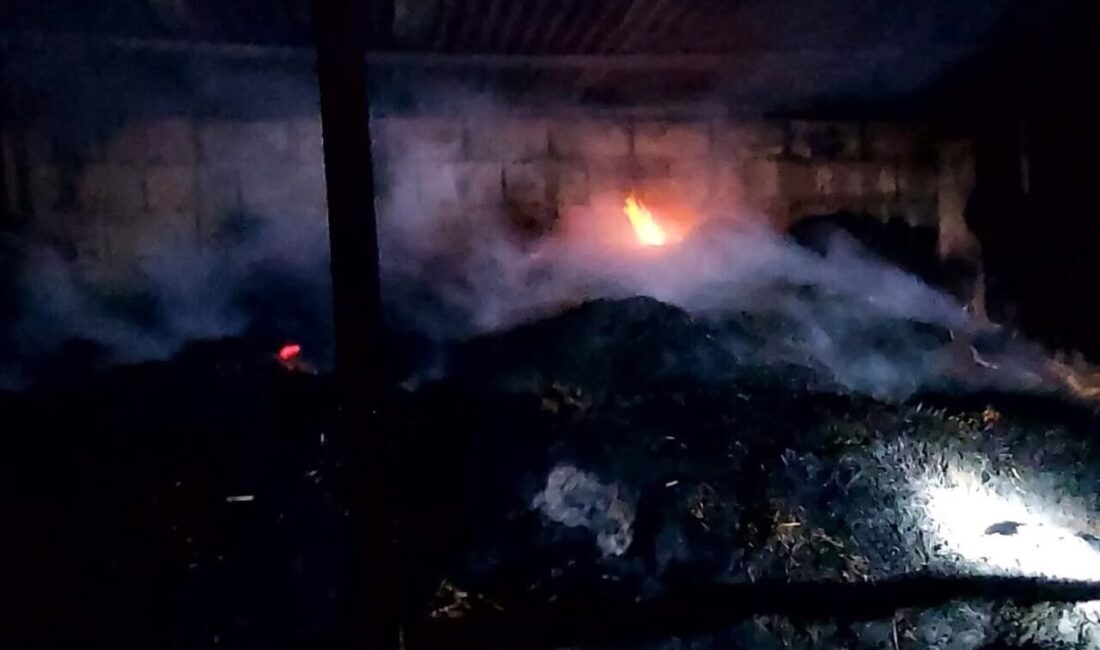 Adana'nın Kozan ilçesinde bir ahırda çıkan yangında sahibi Mehmet Yılmaz'a