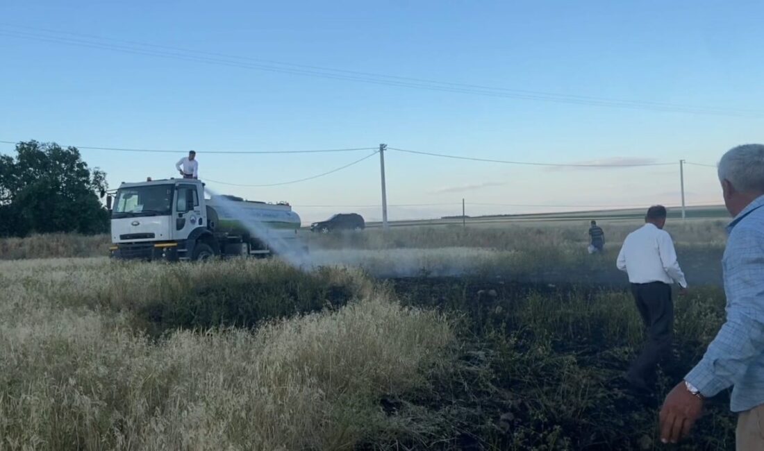 Bitlis'in Adilcevaz ilçesinde Aydınlar beldesindeki arpa tarlasında çıkan yangın, rüzgar