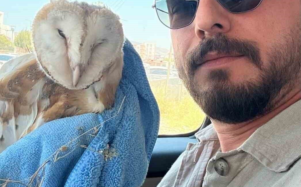 Adıyaman'da Mehmet Uslu, bitkin halde bulduğu bayağı peçeli baykuşu korumak