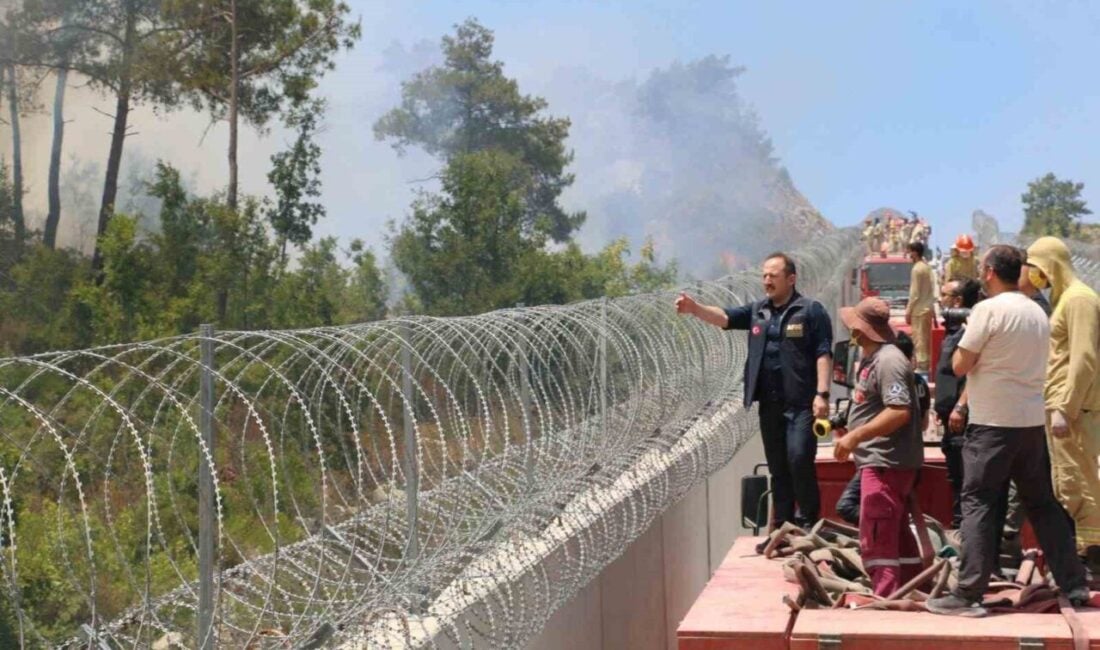 AFAD, Hatay'ın Yayladağı sınır bölgesindeki yangınlara 734 personel, 7 uçak,
