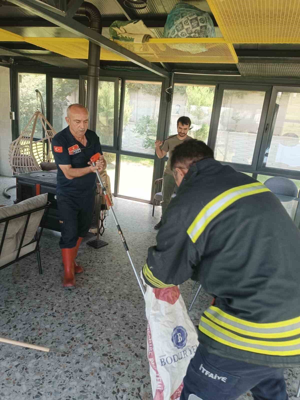 Afyonkarahisar'da hava sıcaklıkları 35 dereceye çıkınca, kent merkezindeki mahallelerde yılanlar