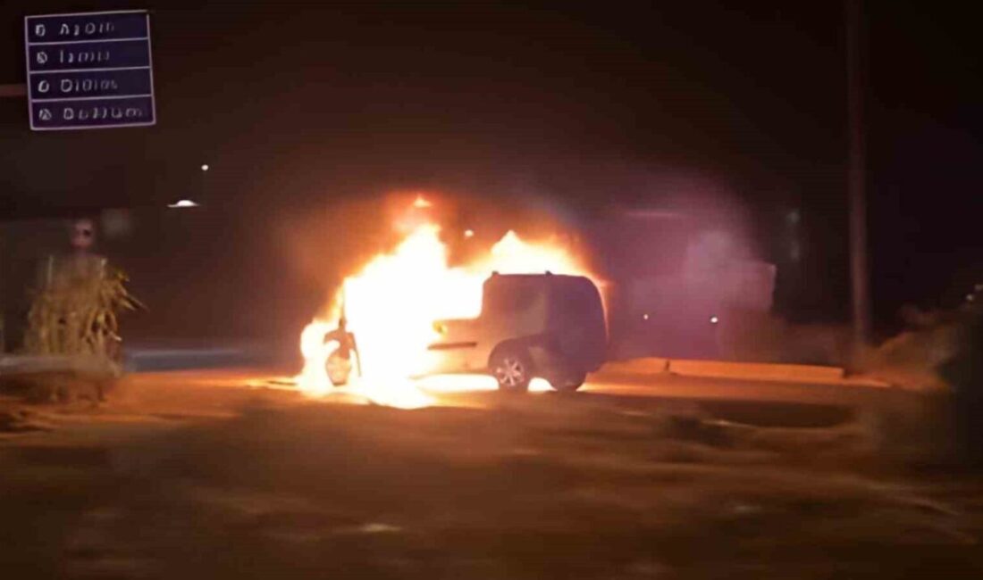 Söke ilçesindeki Ağaçlı Kavşağı'nda H.D. yönetimindeki otomobil aniden alev alarak
