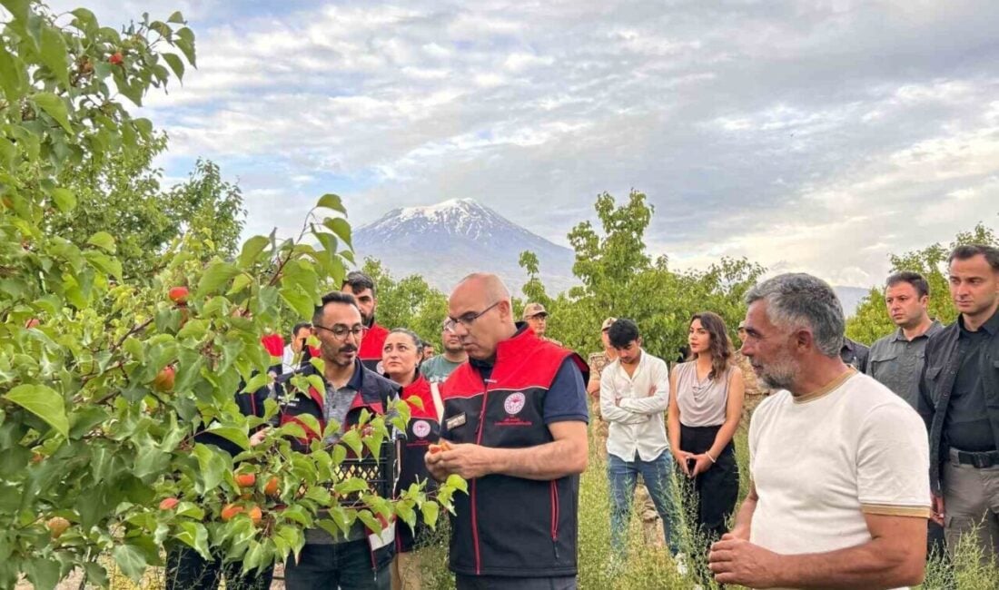 Ağrı Valisi Mustafa Koç, Doğubayazıt ilçesinde yaptığı ziyaretlerde Ağrı Dağı'nın