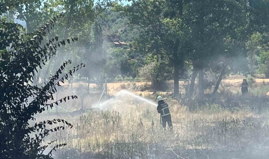 Çorum'un Osmancık ilçesinde, bir akaryakıt istasyonunun yanında çıkan yangın, rüzgarın